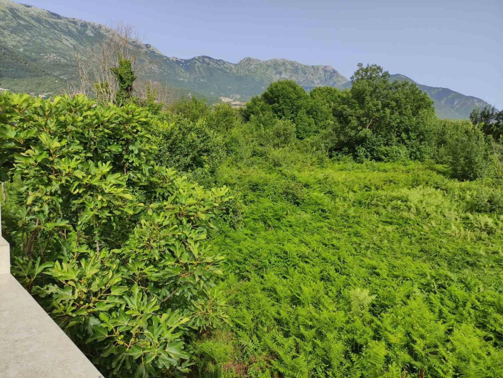 Green Valley Kotor Extérieur photo