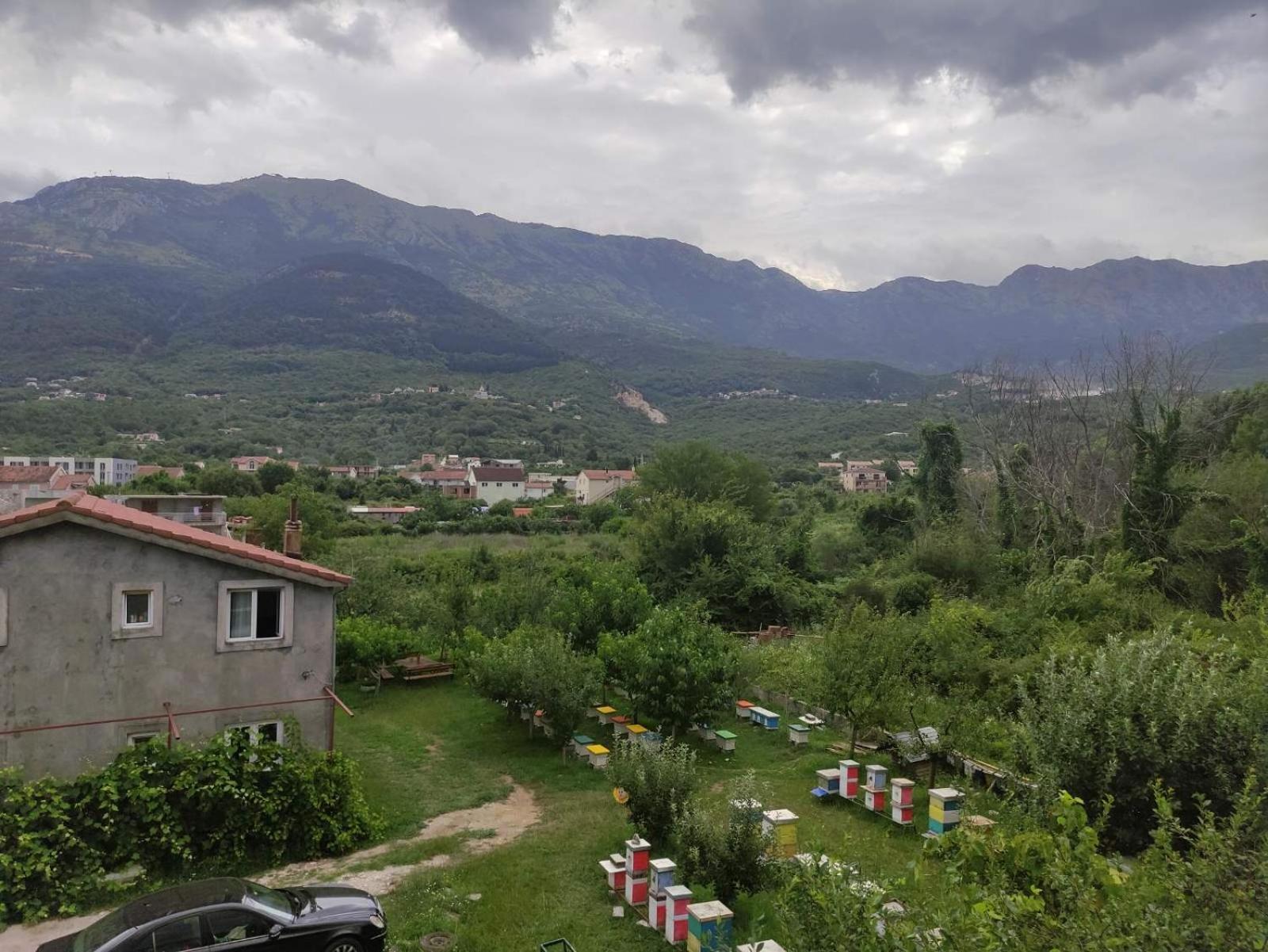 Green Valley Kotor Extérieur photo